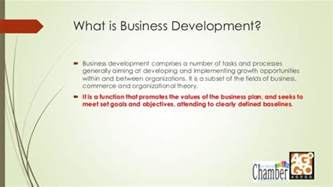 What is business development roles ? ABC Of Business Planning and Development