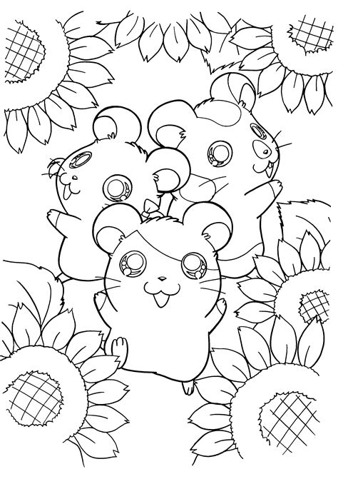 And we have the coloring pages to prove it. Hamster Coloring Pages - Best Coloring Pages For Kids