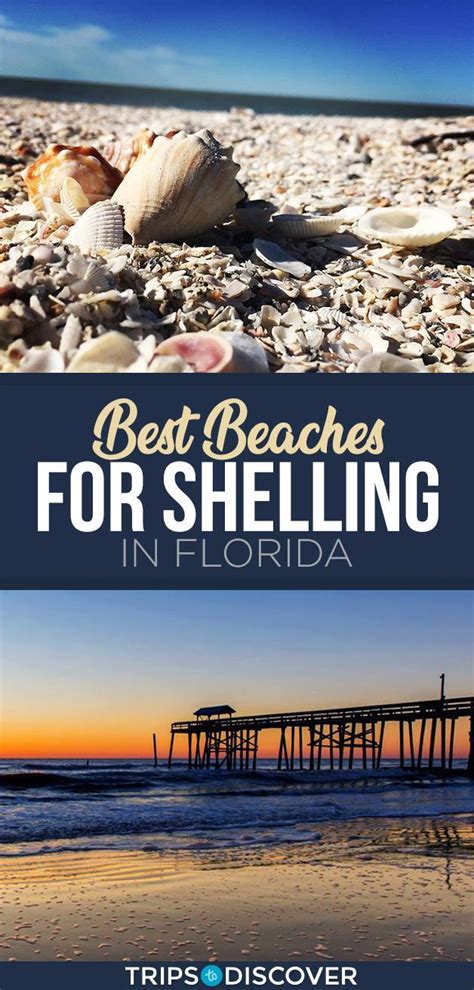 13 Best Beaches For Shelling In Florida Travel Guide And Map Trips To