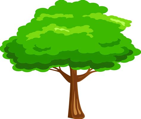 Leaves Clipart Mango Tree Clipart Tree Png Transparent Png Full