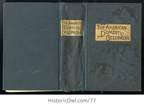 Antique Illustrated Book The American Domestic Cyclopedia By F M Lupton