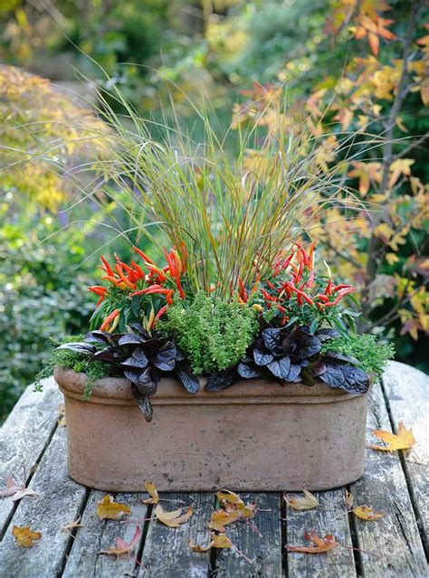 Autumn Containers With Bob Purnell Fall Container Gardens Fall