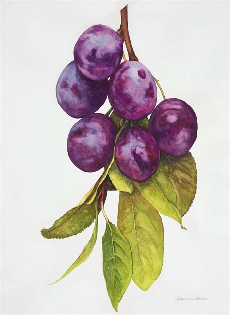 Fruit Charlene Collins Freeman Art Food Art Painting Fruit Art