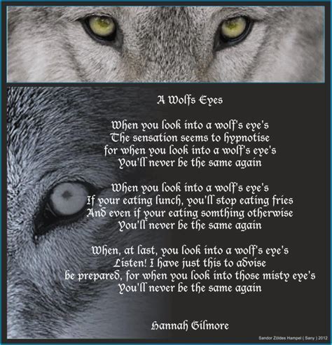 A Wolfs Eyes~ Poem~hannah Gilmore Wolf Eyes Mate Quotes Animal Totems