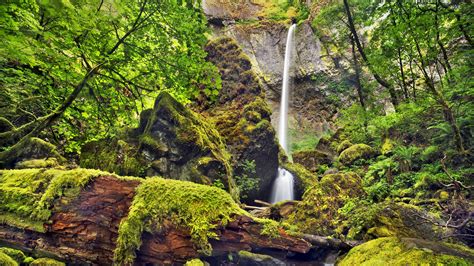 Elowah Falls Columbia River Gorge Oregon Hd Wallpaper Background