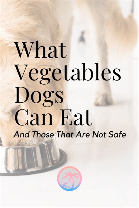 For older dogs prone to sensitivity and irritation in the mouth area, cook or puree carrots and add them to their dog food. Getting a dog requires much responsibility. It also means ...