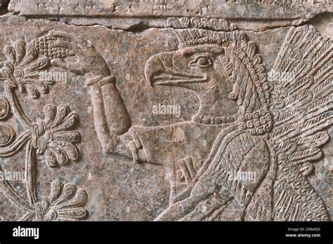 Assyrian Wall Hi Res Stock Photography And Images Alamy
