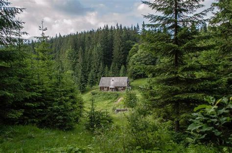 Welcome to the castle rock cabin. Secluded Cabins In The Woods That Are Perfect For A ...