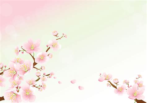 We have 68+ background pictures for you! Cherry Blossom Wallpaper - Free Photoshop Brushes at ...