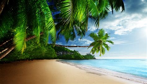 Coast Paradise Tropical Sea Sky Sunshine Emerald Blue Beach Wallpaper