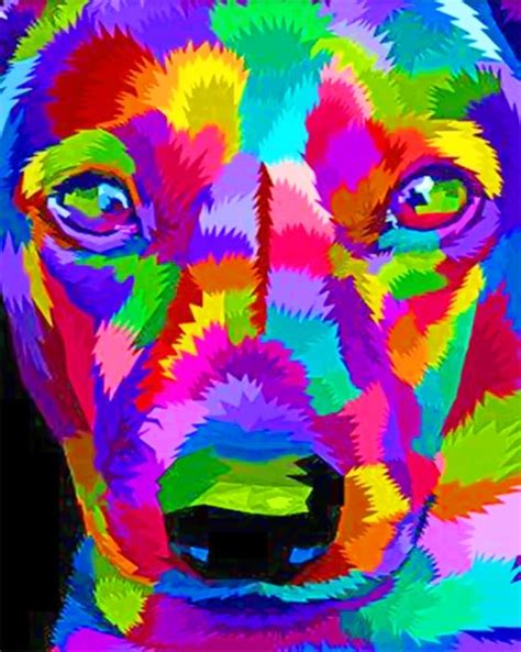 Pop Art Dog Colorful Paint By Numbers Numeral Paint Kit