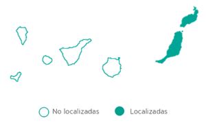 Uno de los animales de canarias que más siglos lleva en el archipiélago es la tarabilla. Musaraña canaria - CanariWiki