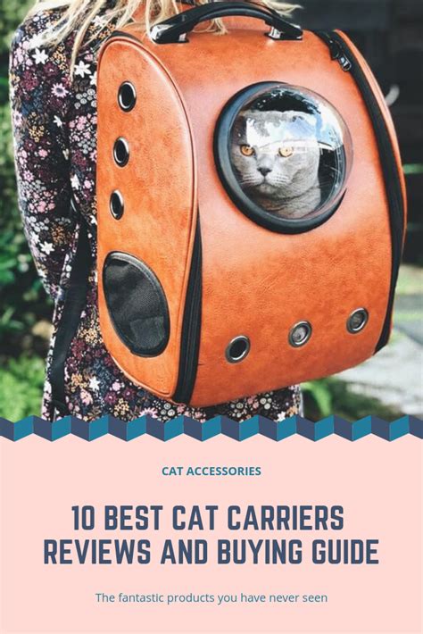 10 best cat carriers reviews and buying guide cat accessories cat carrier cat training