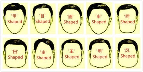Face Reading Free Chinese Physiognomy Techniques To Know Personality