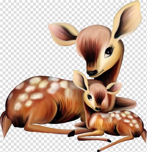 Rabbit Deer Whitetailed Deer Mother Elk Infant Cuteness Animal