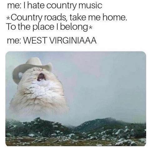 Funny Meme About Country Roads Country Music John Denver Cat — Arena