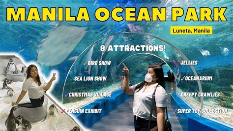 Manila Ocean Park 2022 Luneta Manila 8 Attractions Penguin