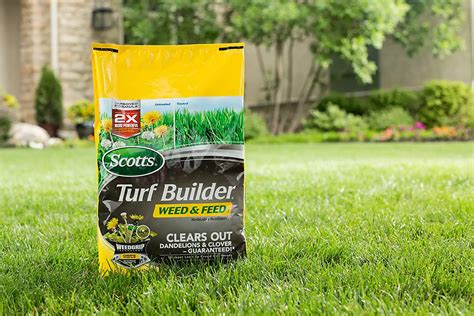 How To Fertilize Lawn And Kill Weeds