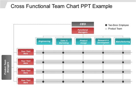Cross Functional Team Chart Ppt Example Powerpoint Slide Templates