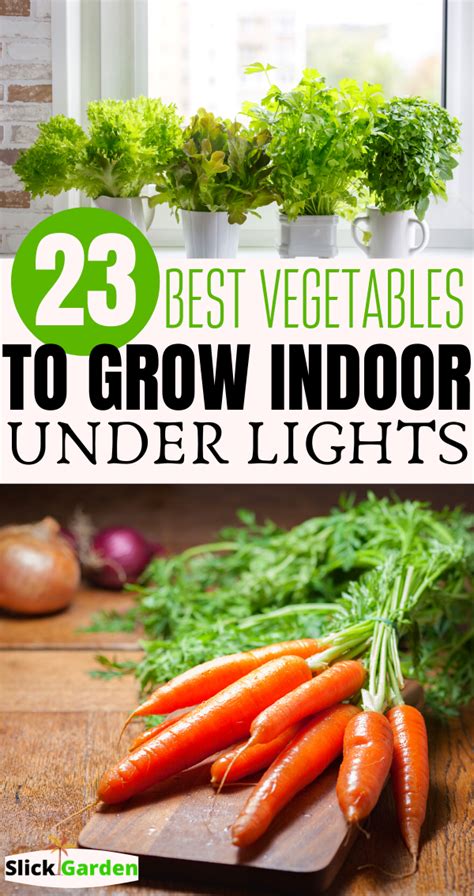 Find a sunny, warm spot in your home and watch them grow. Best Vegetables To Grow Indoors Under Lights in 2020
