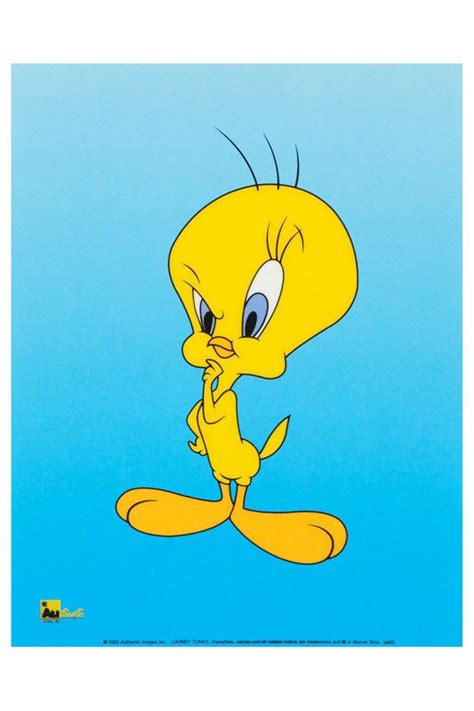 269 Best Tweety Bird Images On Pinterest Looney Tunes