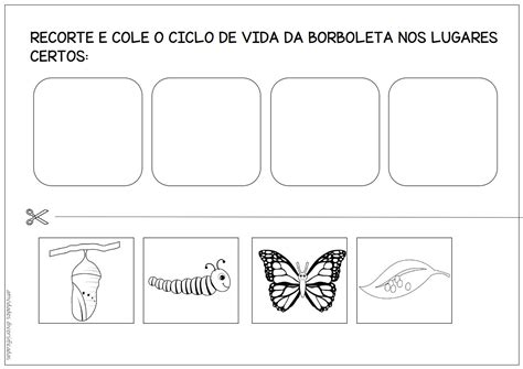 Atividade Ciclo De Vida Da Borboleta
