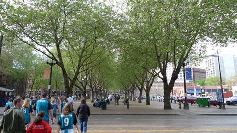 Advancing Urban Forestry Critical Mitigation For The Regions