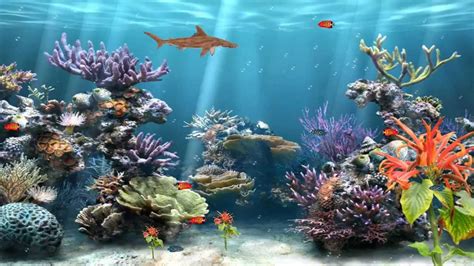 Download Of The Best Fish Tank Animated Screensaver