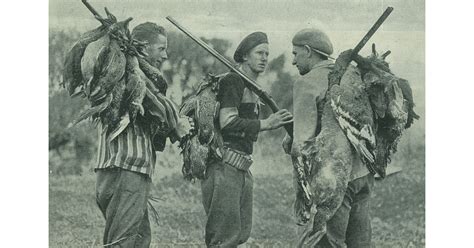 Hunting Photography Historical Mad On New Zealand