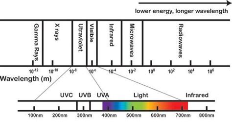 Do You Really Know Ultraviolet Light Pixel Led Blog Shenzhen