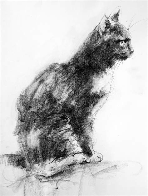 Cat Pencil Cats Art Drawing Kitten Drawing Art Charcoal Charcoal