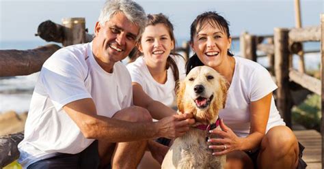 Why we created pre existing medical conditions pet insurance? Pet Insurance Articles What Are Pre Existing Conditions - PetPremium