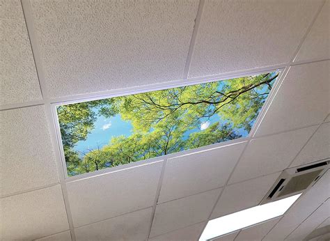 Forest Canopy View 2ft X 4ft Drop Ceiling Fluorescent Decorative