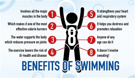 The Health Benefits Of Swimming Metro Physio