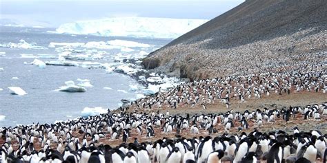 Devil Island Antarctica Cruise Port Schedule Cruisemapper