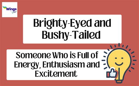 Brighty Eyed And Bushy Tailed Meaning Examples Synonyms Leverage Edu