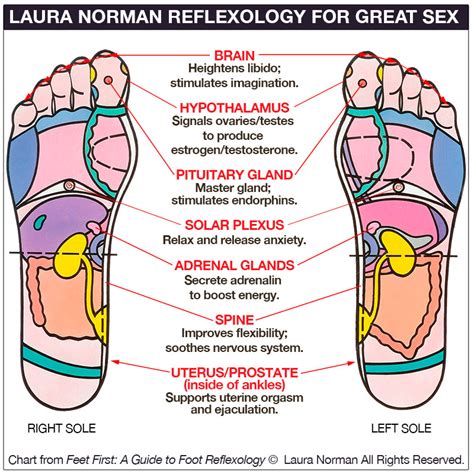 Foot Reflexology Chart Poster Health Knowledge Diagram Ph
