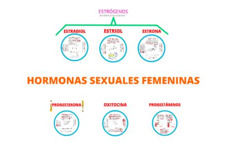 Hormonas Sexuales Femeninas By On Prezi Next