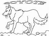 Coyote Coloring Pages Printable Jackal Kids Cool2bkids Getcolorings Print sketch template