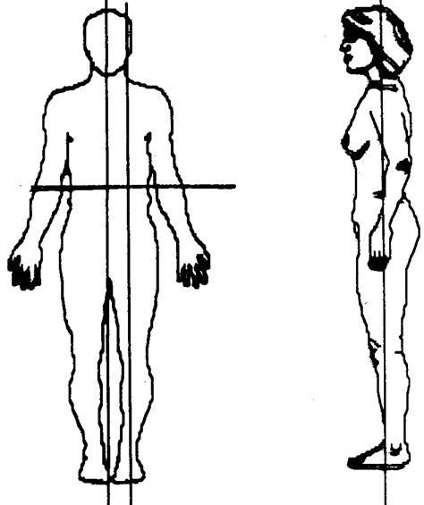 Female Body Diagram Blank Blank Drawing Of Human Body At Getdrawings