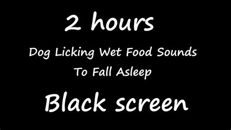 2 Hour Dog Licking Wet Food Sounds Asmr Eating Sound Lickimat