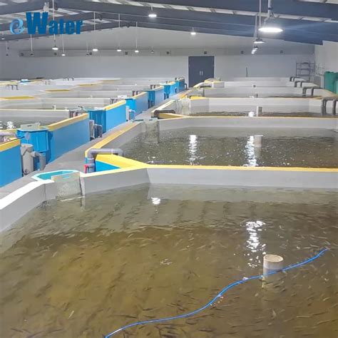 Intensive Recirculating Aquaculture Systems And Ras System Equipment