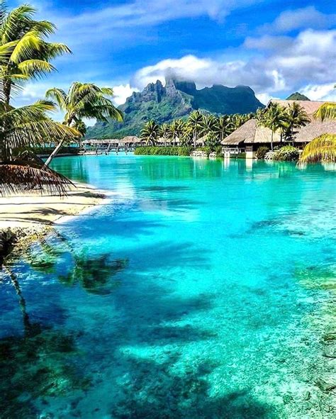Tropical Wandering On Instagram “would You Wanna Travel To Bora Bora