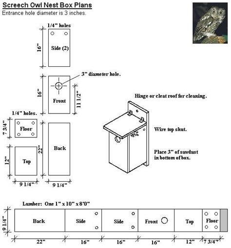 How to build a screech owl box. Screech Owl Nest Box Plans | Bird house plans, Owl box ...