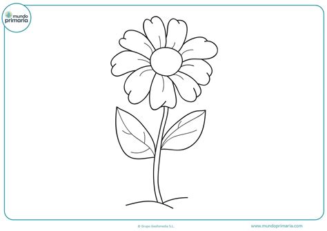 Flores Para Dibujar Faciles Y Bonitas A Color Downloads