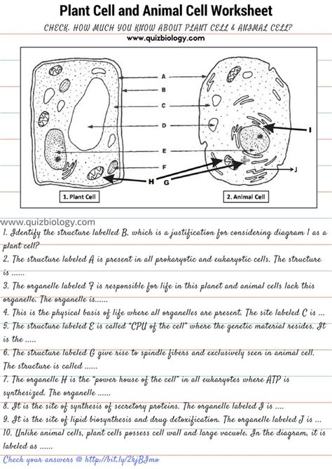 It gives the cell structure a plant cell diagram can be helpful in teaching science to students. Plant Cell and Animal Cell Diagram comparison Worksheet. A ...