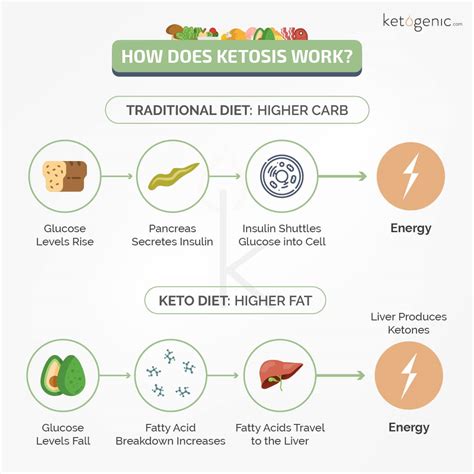 The Ketogenic Diet Everything You Need To Know To Get Started Keto