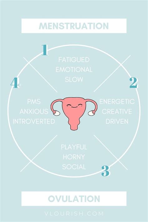 the 4 phases of the menstrual cycle menstrual cycle menstrual health menstrual cycle phases