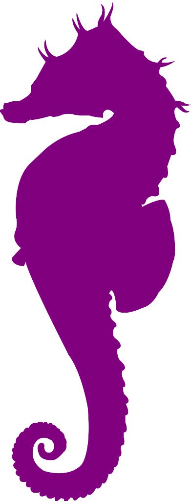 Seahorse Silhouette Free Vector Silhouettes