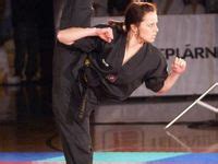100 Chloe Bruce Ideas Chloe Bruce Martial Arts Martial Arts Women
